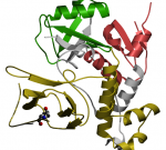 Sanger-Institute-structure-of-an-hypoxia-inducible-factor-HIF-1a-complex