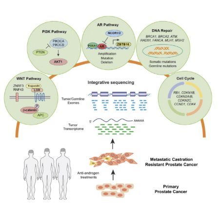 Source: Robinson et al., (2015)