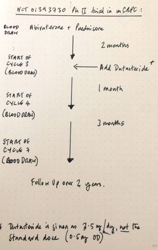 Phase 2 trial schematic