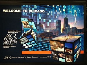 2012 Annual meeting of American Association for Cancer Research in Chicago. Photo Credit: Pieter Droppert