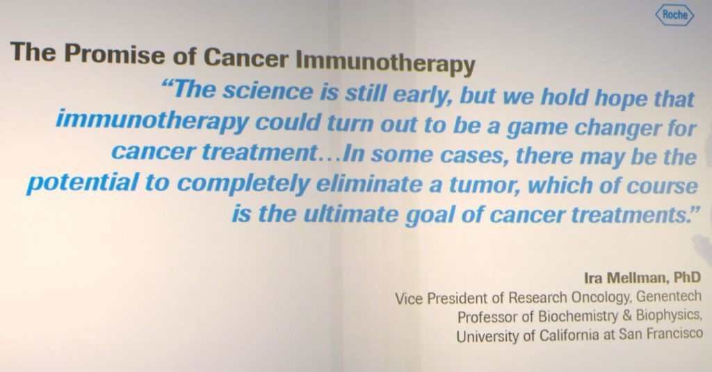 Roche Promise of Immunotherapy Quote