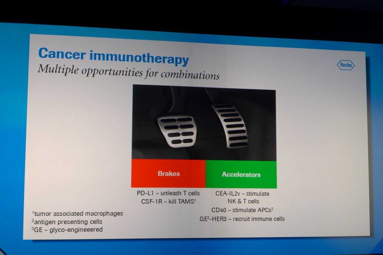 Roche ESMO Media Briefing Immunotherapy Approach