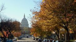 Washington DC in Fall