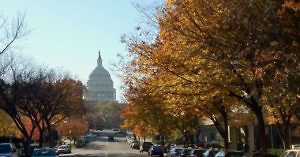 Washington DC in Fall