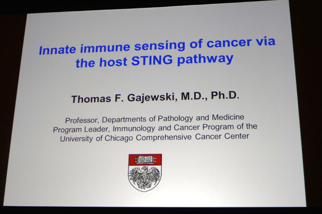 Presentation by Dr Gajewski at Immunology 2015